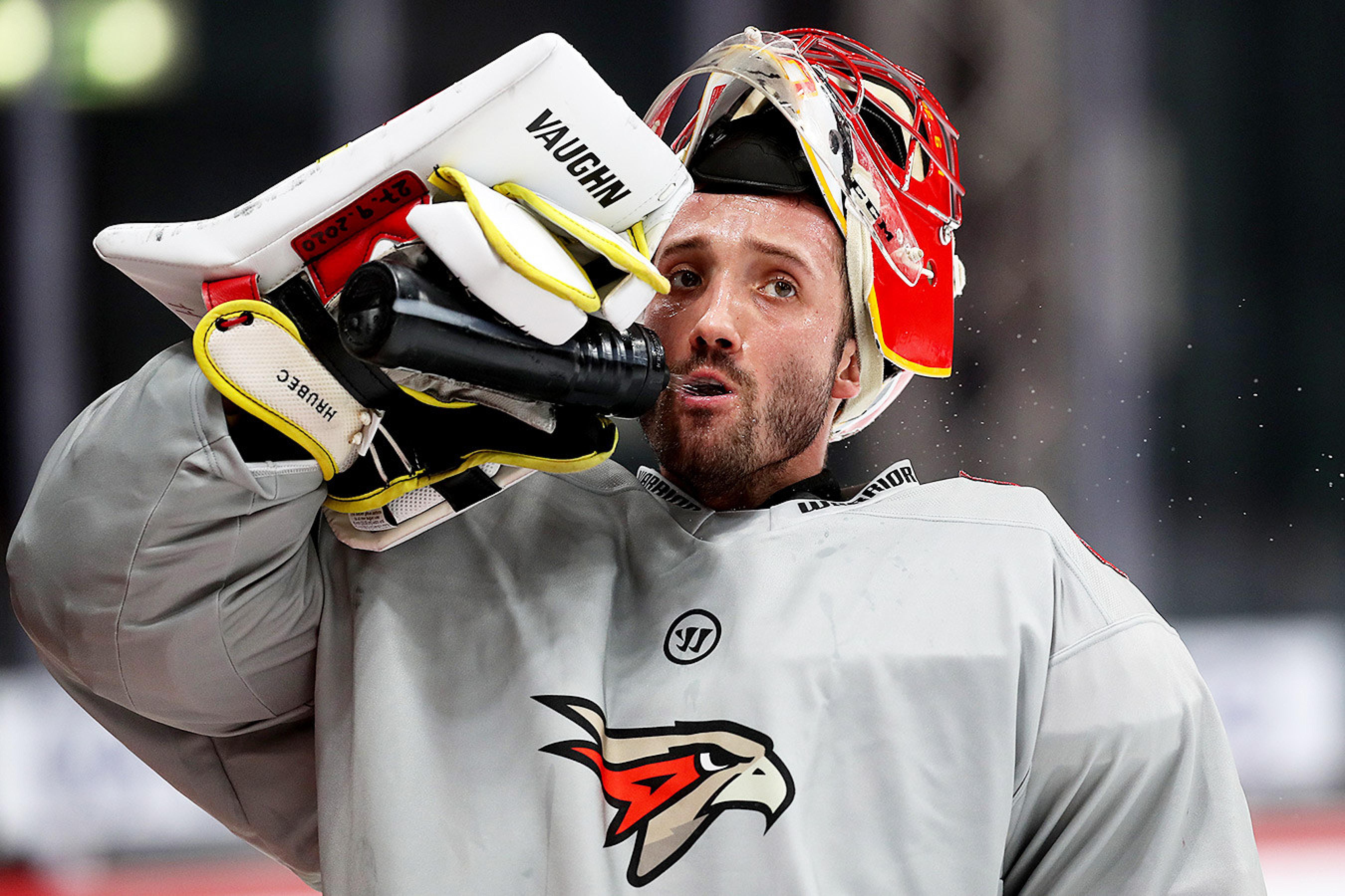 Шимон Грубец из «Авангарда» признан голкипером месяца в КХЛ